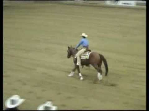 BANTAM WHIZ @ Futurity Kreuth 2008 Finals