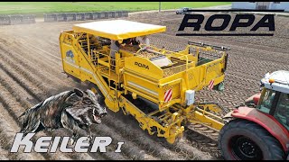【2021】 ROPA Keiler1 生食用馬鈴薯収穫  Potato Harvest　サンエイ工業