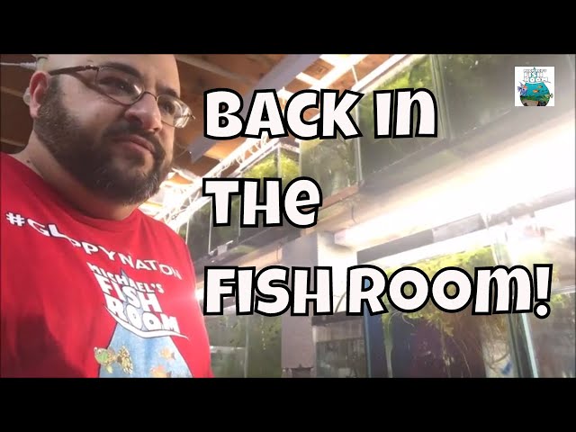 Sick Fish Update Back in the Fish Room The Crew Swag and Aqaurium Fishroom VLOG