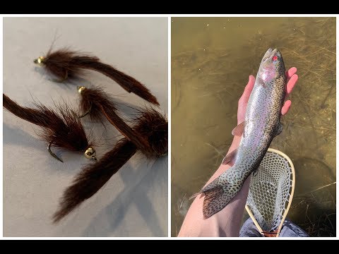 Tie And Fish PINE SQUIRREL LEECH