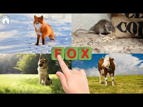 Learn to Read - Phonics ABC Video