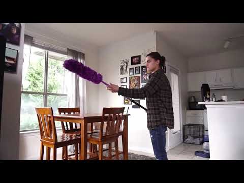 Fan Cleaning Mop