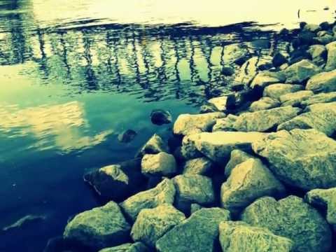 Christopher S. ft. Max Urban - One Day