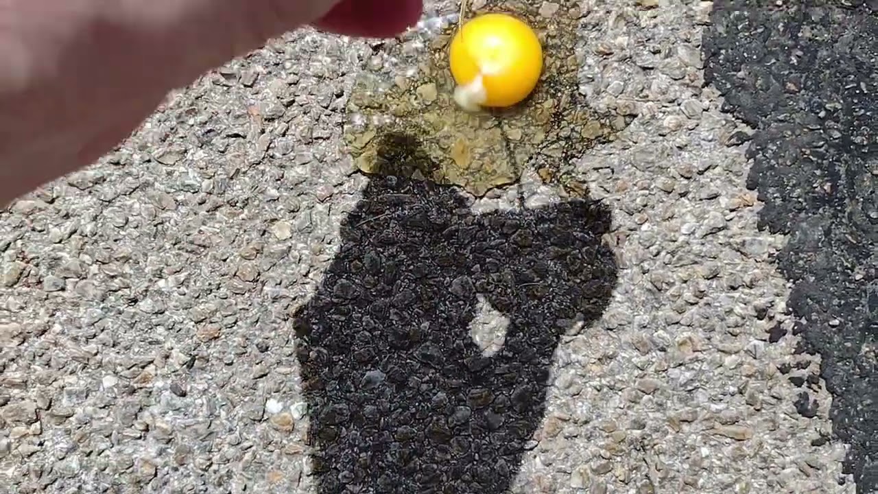 Frying an egg on the street when it's 118 F / 47.7 C