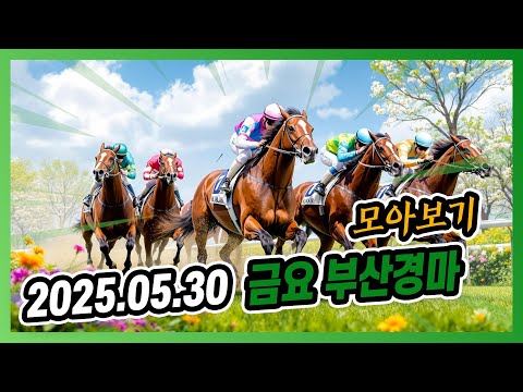 2025년 5월 30일 금요 부산경마 전체경주 모아보기
