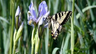 DC Talk - The Hardway -no lyrics