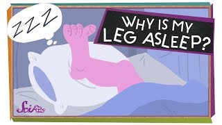 Why Is My Leg Asleep?