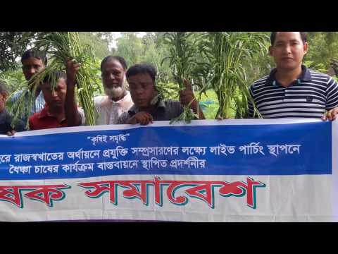 জীবন্ত পার্চিং