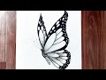 How to draw a butterfly easy step by step