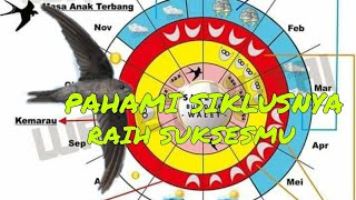 Download lagu PAHAMI SIKLUS BURUNG WALET mp3 Download lagu PAHAMI SIKLUS BURUNG WALET mp3