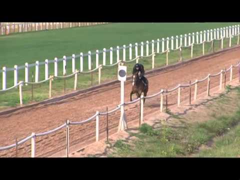 PART 2 CLAIRWOOD FAREWELL