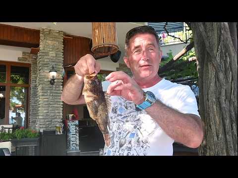 🐟 Познавате ли рибите на Черно море? Скорпид (скорпена)