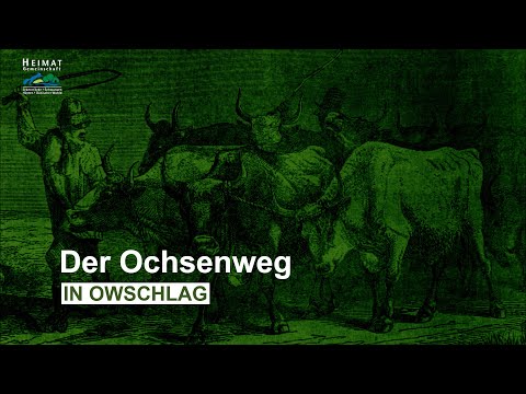 Der Ochsenweg, ein dänischer Heerweg
