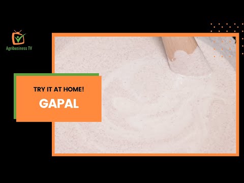 Try it at home: Gapal, a traditional Fulani dessert
