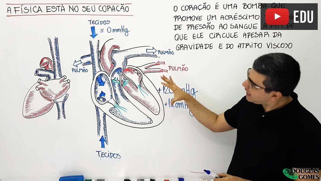 A Física está no seu coração e na circulação!