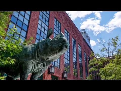 Harvard University 2027: Học phí & 9 Harvard University - Đỉnh cao tri thức và lãnh đạo toàn cầu