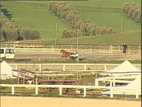 IPPODROMO DEI PINI - Prove di riqualifica: Rimica di Azzurra - E.Bondo