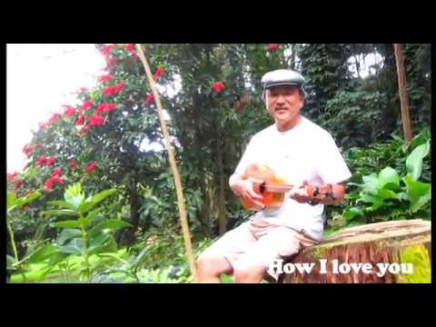 E Hoopili Mau I Kuu Puuwai (ukulele cover)