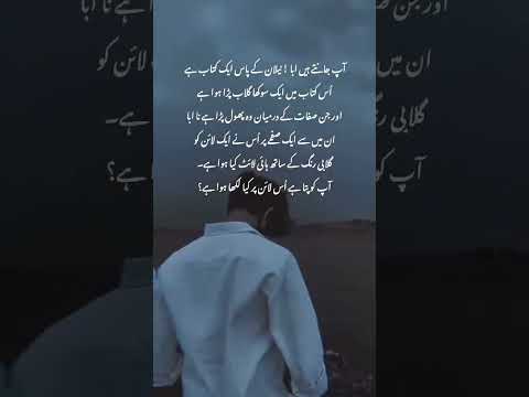 Al Sabreen by Aqsa Majeed ##novels #books #views #viralvideo #status #shorts #crew #love #poetry #5m
