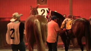 2017 Firecracker Futurity(G2) Recap- Stallionesearch.com
