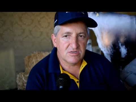 Encontro da Cadeia Produtiva do Leite em Terra Nova