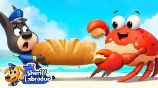 Crabs Are Coming | 🌊 WaterCity Mystery | Kids Cartoon | Safety Rules | Sheriff Labrador