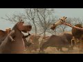 DreamWorks Madagascar Get The Water Back Madagascar Escape 2 Africa Movie Clip