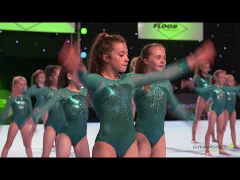 The Floor 2018  Arabian Display Squad