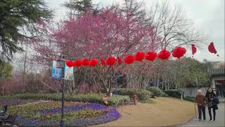 2021年 春節初二 in 上海　前編