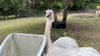 Download lagu Kevin Attacks The Net mp3 Download lagu Kevin Attacks The Net mp3