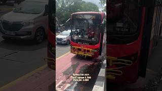Download lagu Cheap and Comfortable Ride on the Batik Solo Trans (BST) Bus #batiksolotrans #solotrip #infosolo ... mp3