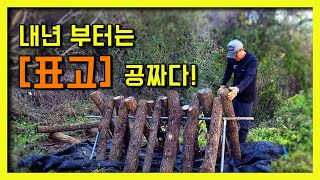 이제부터 표고버섯은 공짜로 먹는다 표고목 세우고 감따는날