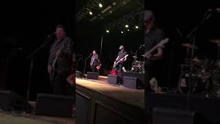 Stiff Little Fingers Straw Dogs