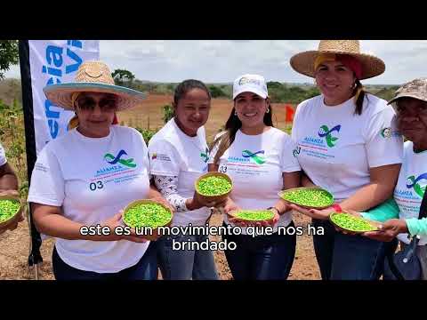 Plan de fortalecimiento tecnológico de la cadena agroalimentaria del maíz