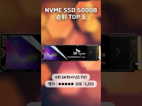 NVME SSD 500GB 순위 TOP 5