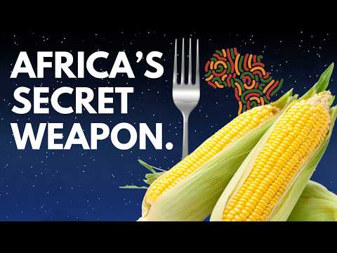 How Corn Changed Africa Forever