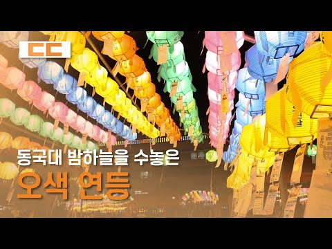 동국대학교 밤하늘을 수놓은 오색 연등