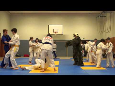 Harlem Shake : Dammer Shake Edition 130301