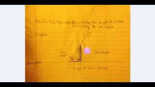 How to calculate the height of a tree using trig