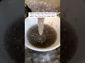 Chia Seeds and Digestion: Can They Really Cause Constipation? #shorts