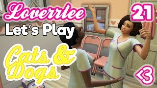 Cats & Dogs #21: Costly Construction