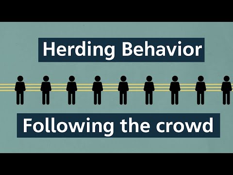 Herding Behavior: How following the crowd leads us astray