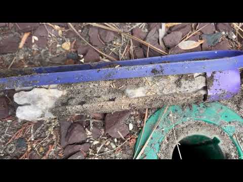 Found So Many Termites in the Sentricon®...