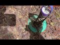 Found So Many Termites in the Sentricon® Termite Bait Station in Shrewsbury, NJ