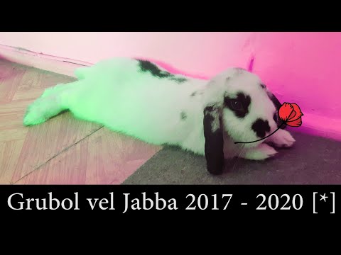 Dr Ziom - Umieranko (RIP Grubol) Coffin Dance