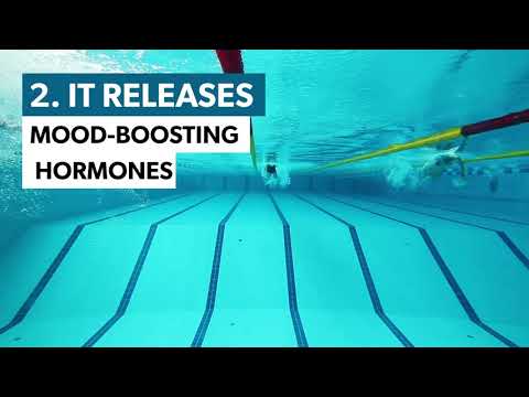 download lagu mp3 mp4 How Does Swimming Reduce Stress, download lagu How Does Swimming Reduce Stress gratis, unduh video klip How Does Swimming Reduce Stress