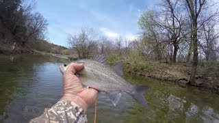 preview picture of video 'The Rock Creek Romp- Fly fishing Rock Creek 4-5-19'