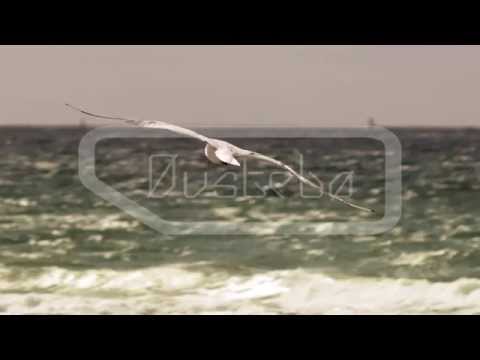 Tobtok feat. Emil Heró - Higher