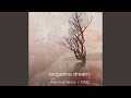 Two Bunch Palms (Live)