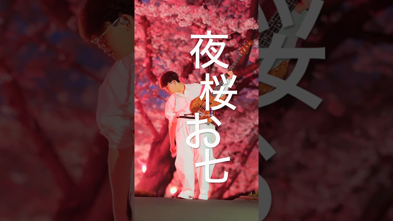 夜桜に包まれながら、坂本冬美さんの『夜桜お七』を弾いてみた。#夜桜お七 #桜 #ベース #スラップ